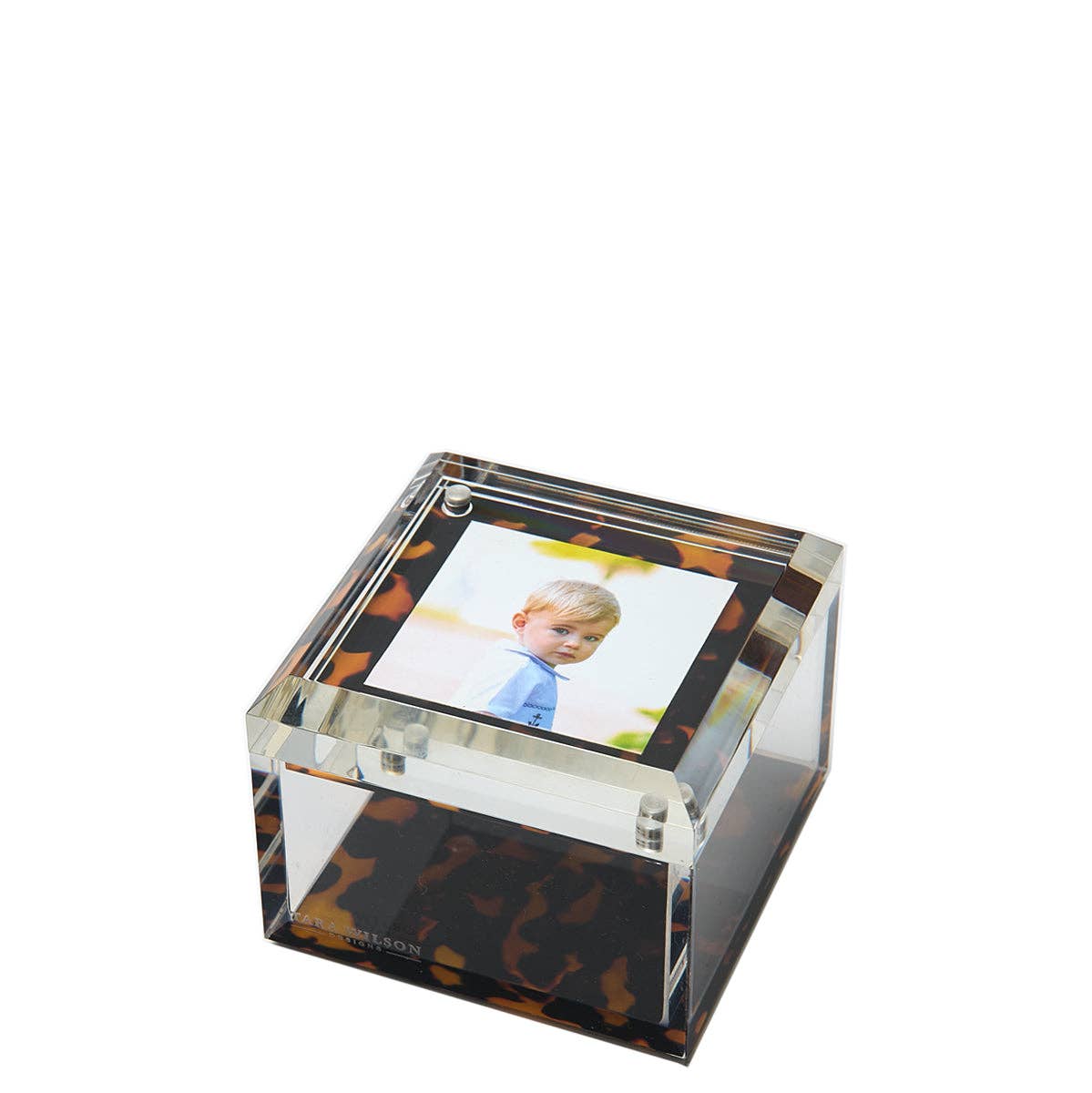 Tortoise Photo Box