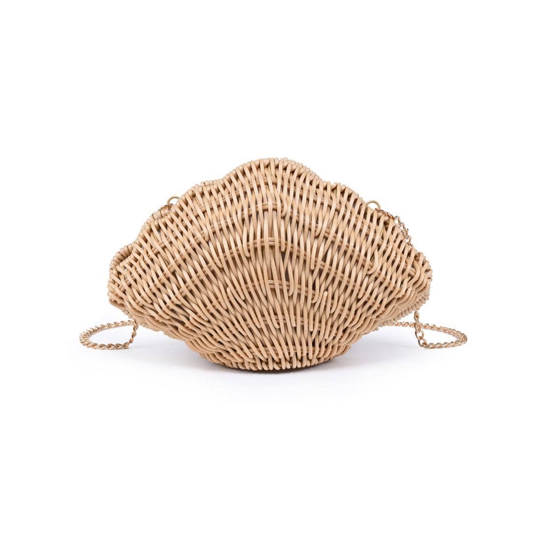Seashell Clutch