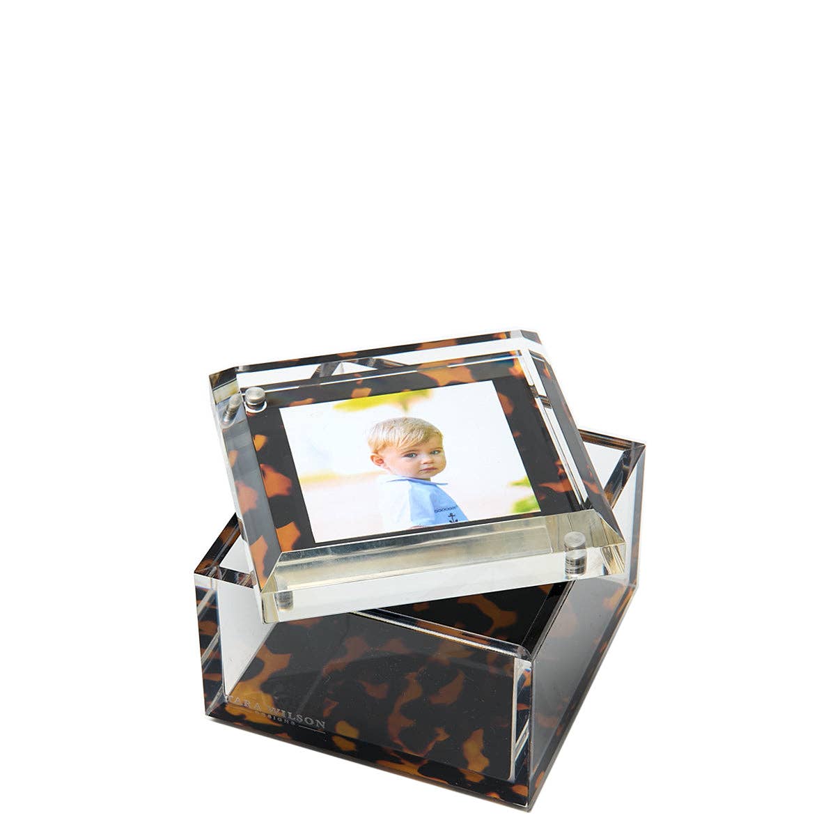 Tortoise Photo Box