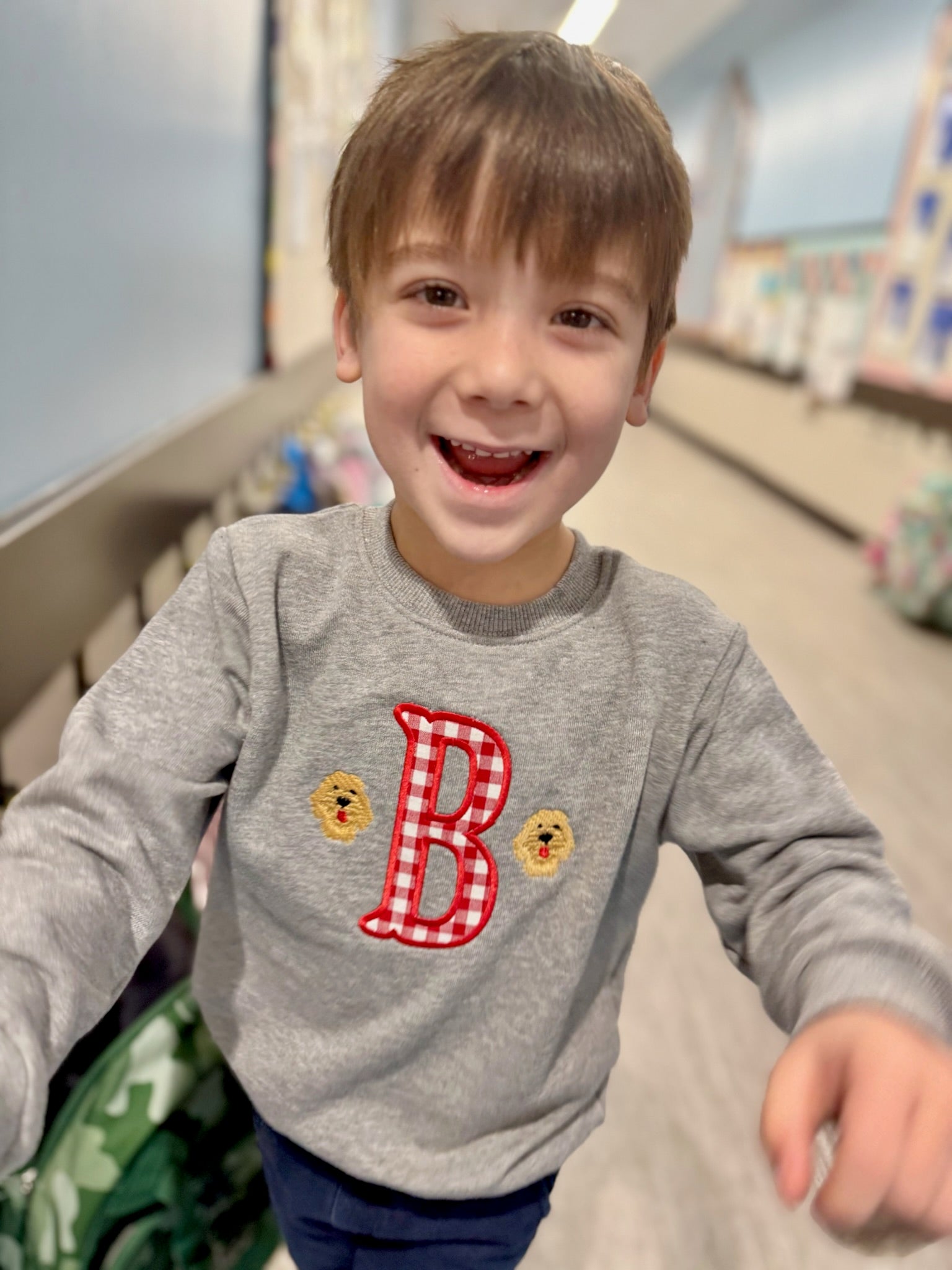 Boys Gray Embroidered Sweatshirt