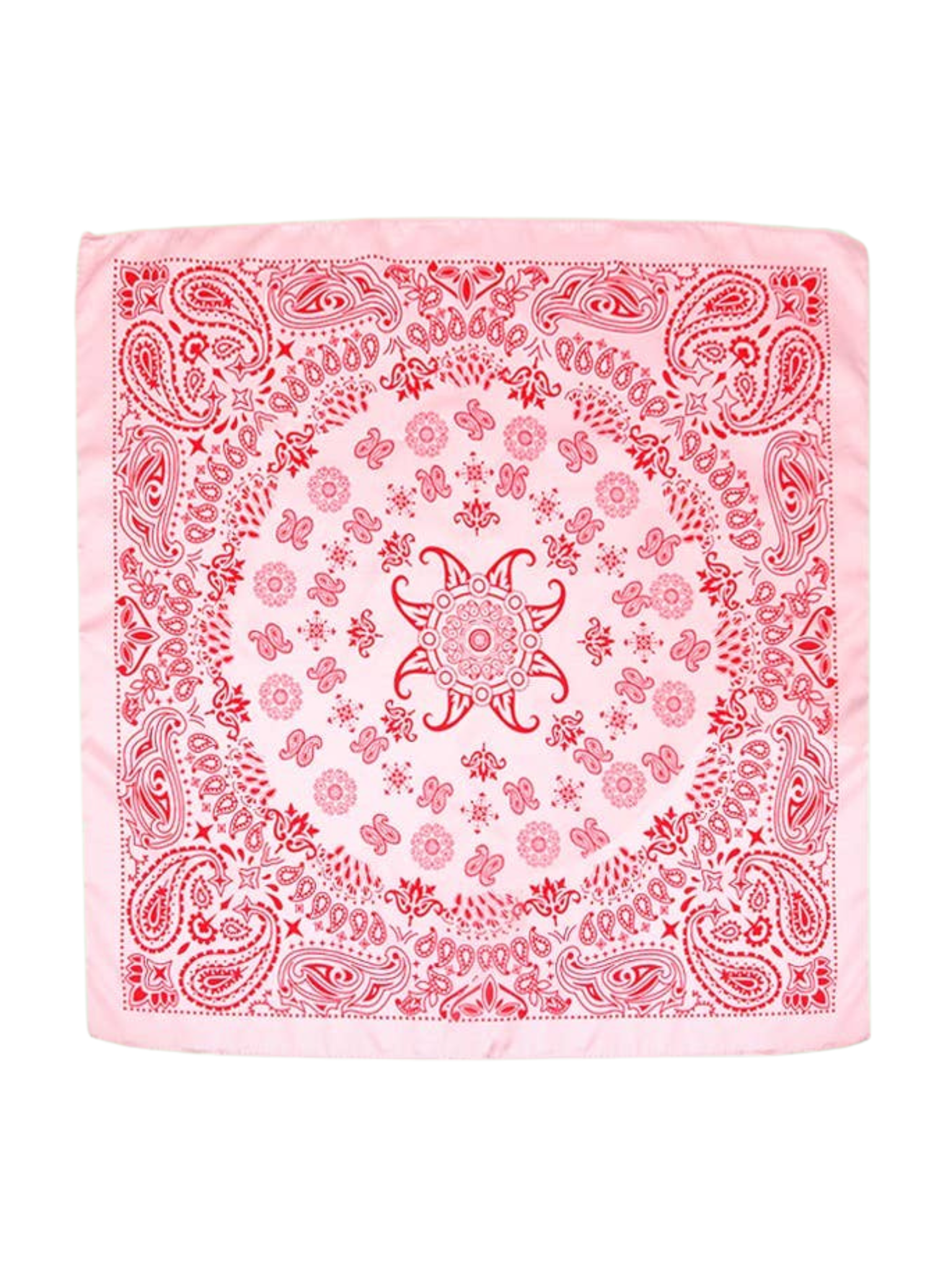 Paisley Pink Scarf