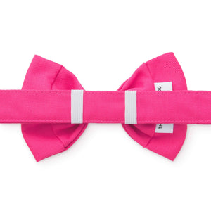 Hot Pink Dog Bow Tie: Standard
