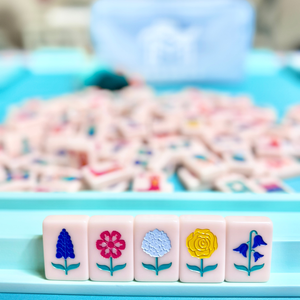 THE TEXAS SERIES Mahj Tiles