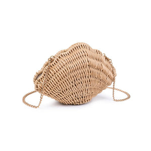 Seashell Clutch