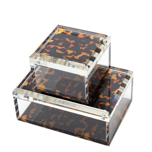 Tortoise Photo Box