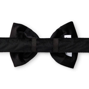 Black Velvet Dog Bow Tie