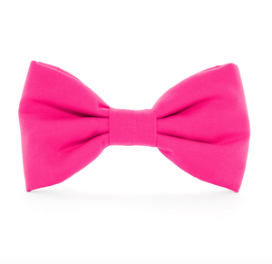 Hot Pink Dog Bow Tie: Standard